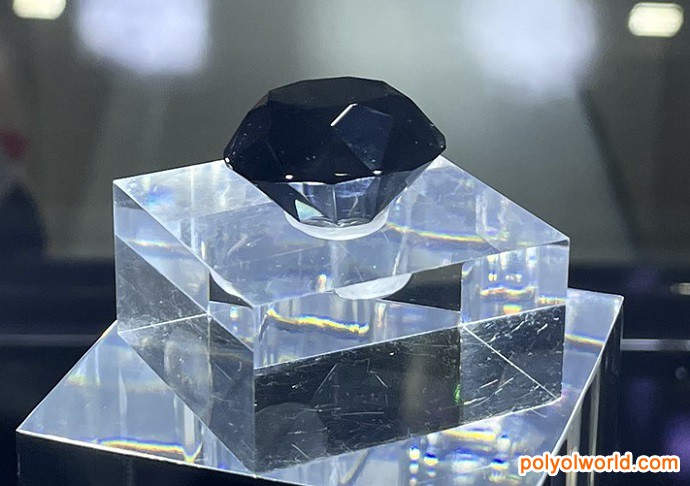 海南消博會：中國的大市場，世界的新機遇！