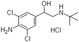 21898-19-1鹽酸克倫特羅